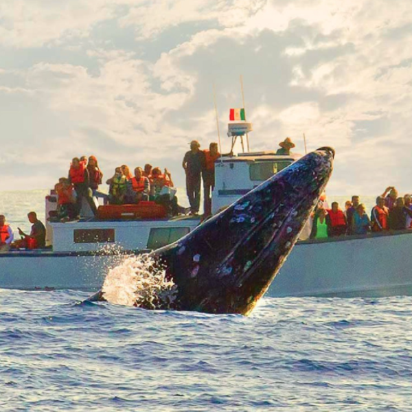 Pasted-image-20230601200748-700x876