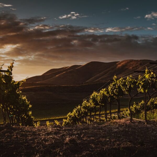 tim-mossholder-N1c4X5csoTg-unsplash-e1626456201292